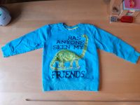 Pullover, Dinosaurier,  Dinos, 98 Niedersachsen - Kakenstorf Vorschau