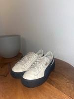 Puma Suede / Puma Basket Bayern - Würzburg Vorschau