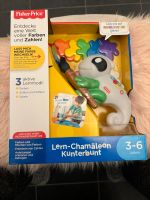 Fisher Price lern Chamäleon kunterbunt Farben neu OVP Niedersachsen - Niedernwöhren Vorschau