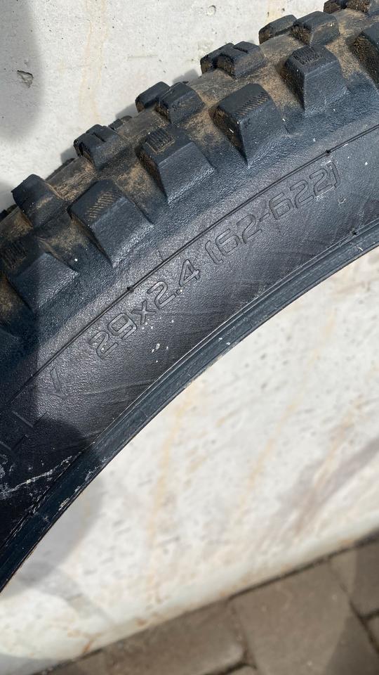 Specialized Hillbilly Grid Gravity T9 29 x 2,4 *neues Modell* in Regensburg