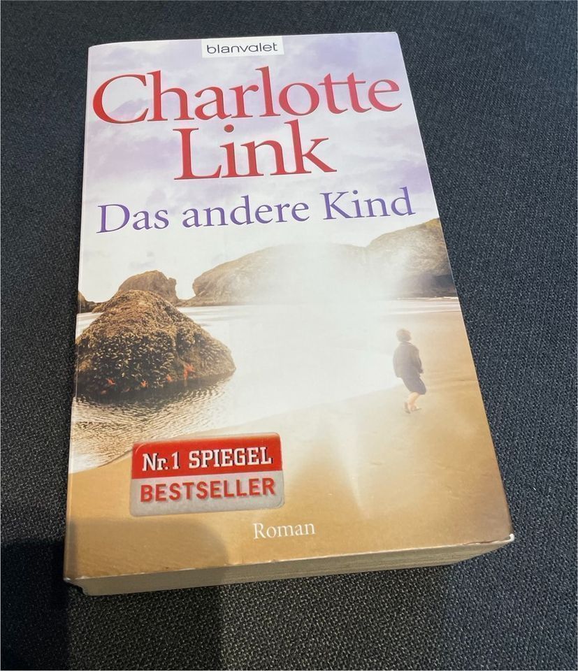 Charlotte Link - Das andere Kind - Roman in Berlin