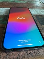 Apple iPhone 13 Pro Max 1 TB in sehr gutem Zustand Leipzig - Engelsdorf Vorschau