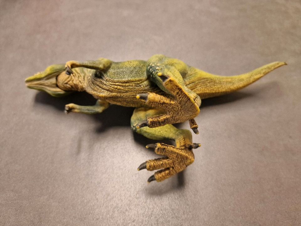 Schleich Tyranosuarus  Rex neuwertig in Aach