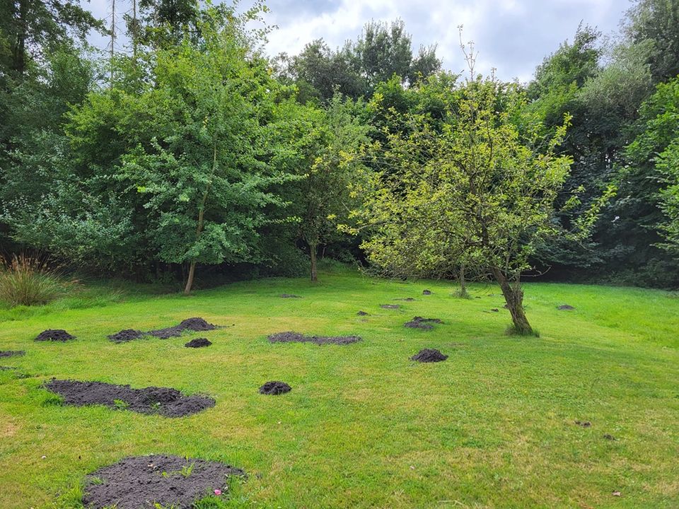 !Gelegenheit im Zentrum, Immobilien mit allen Möglichkeiten! Vielseitig verwendbares Wohn-/Geschäftshaus mit zus. Wohnhaus und großzügigem Grundstück in Rhauderfehn