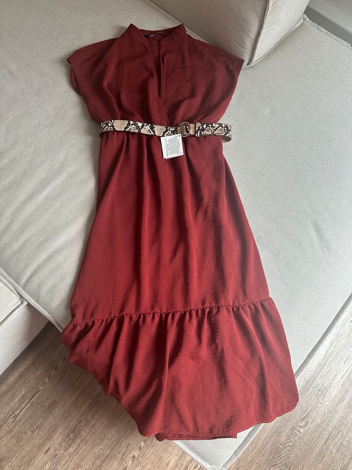 Zara Kleid S mit Gürtel Schlangenprint NEU in Ludwigshafen