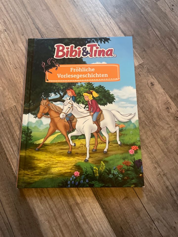 Kinderbücher Bibi & Tina für Erstleser in Neubrandenburg