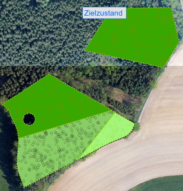 Ökopunkte im Naturraum D65 zu verkaufen in Hilgertshausen-Tandern