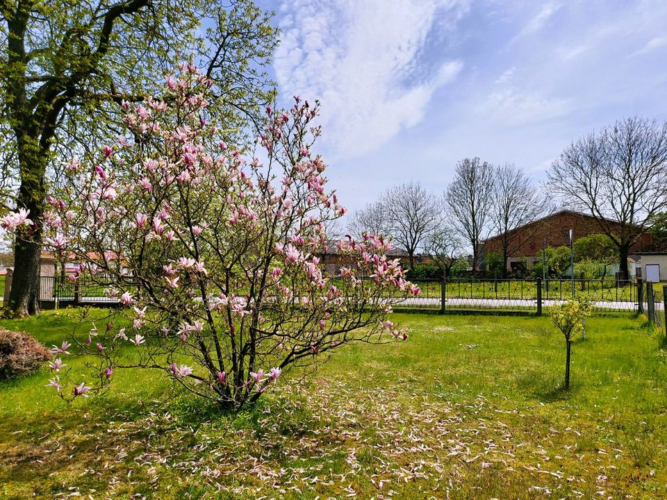 Bauernhaushälfte mit großer Stallung in dörflicher Lage bei Altentreptow in Brunn bei Neubrandenburg