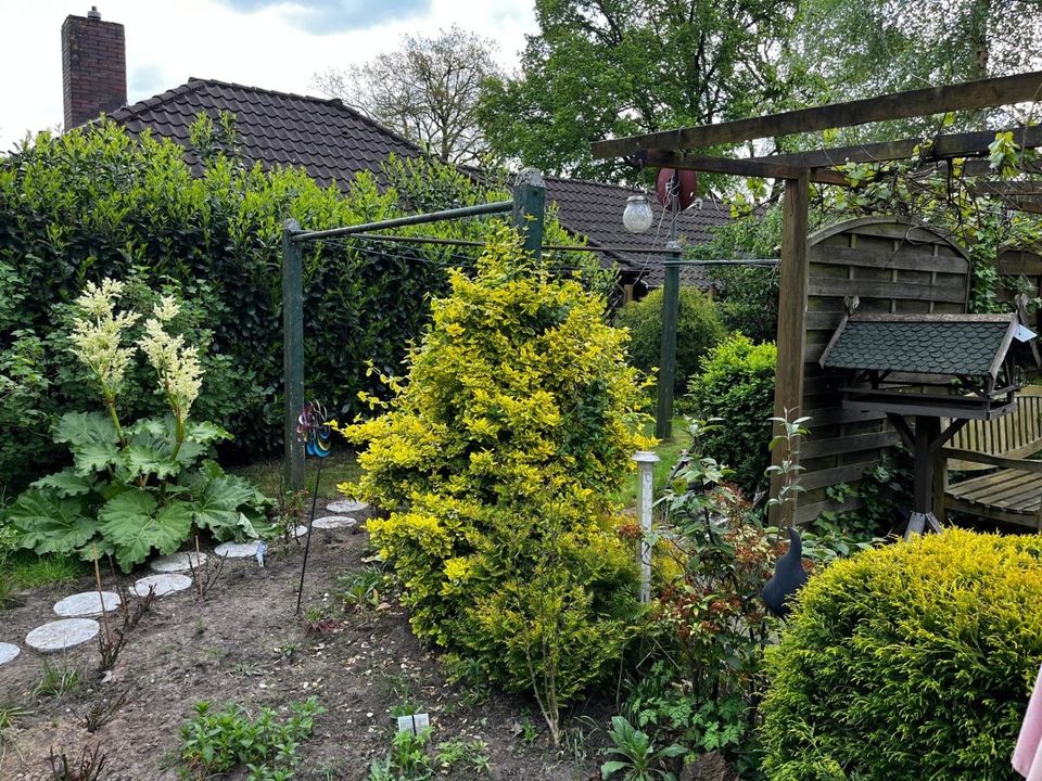 Schönes Renditeobjekt Zweifamilienhaus in Huntlosen mit neuer Heizung in Großenkneten zu verkaufen in Großenkneten