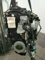 Engine Motor T8MA FORD KUGA S-MAX MONDEO GALAXY 2.0 TDCI 8.549 Km Nordrhein-Westfalen - Kreuztal Vorschau