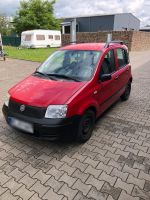 Fiat Panda 1.1 Benzin Nordrhein-Westfalen - Dorsten Vorschau