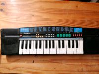 Casio piano Kreis Pinneberg - Pinneberg Vorschau