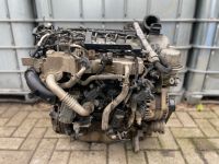 2,2 CDTi Motor Opel Antara Z22D1 127tkm Laufleistung komplett Niedersachsen - Langwedel Vorschau