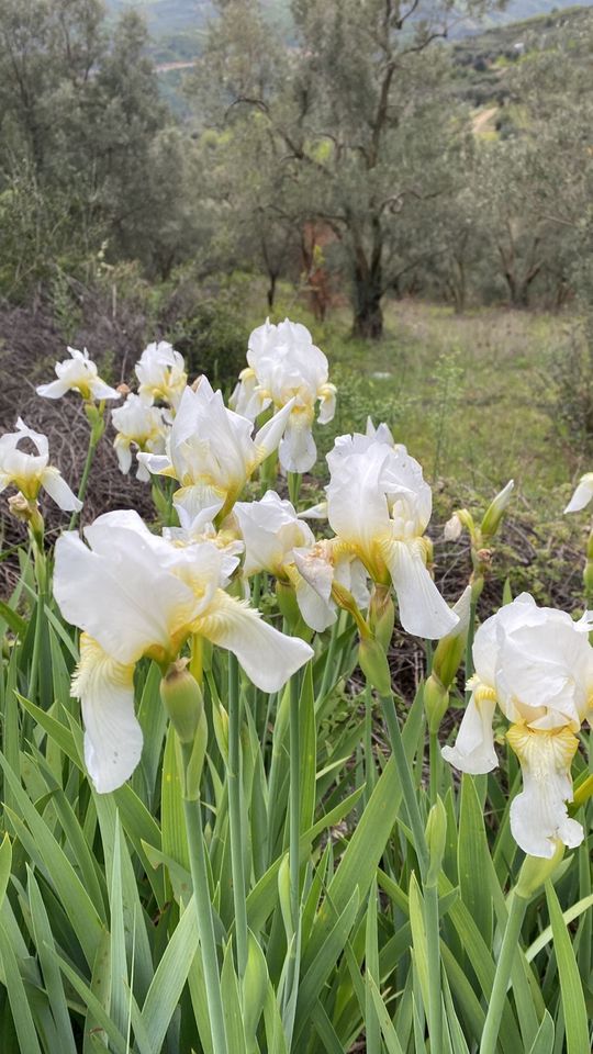 Suchen Schrebergarten o. Freizeitgrundstück in Moosburg in Erding