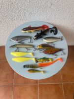 KUNSTKÖDER FISCHE WOBBLER JERKBAIT GUMMI ANGELN FISHING OUTDOOR Hessen - Rodenbach Vorschau