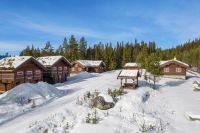 Ski-Paradies: 4 Blockhütten in Hemsedal als Paket / Norwegen Brandenburg - Bernau Vorschau