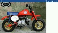 Suche Original Honda Monkey Freiburg im Breisgau - March Vorschau