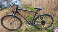 Trekking Fahrrad 28 Zoll Winora Hessen - Mörlenbach Vorschau