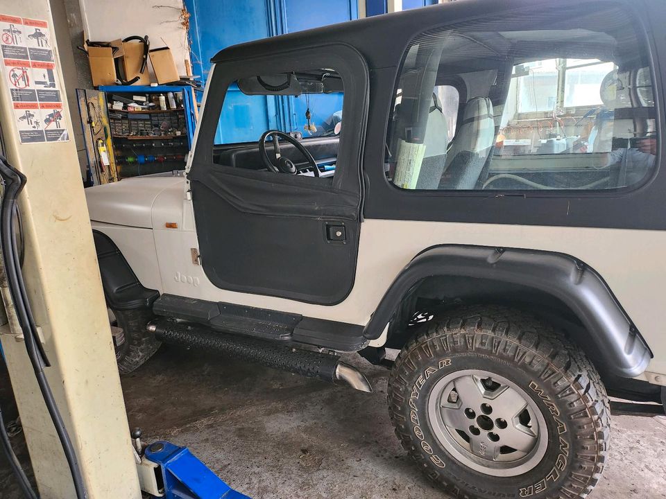 Jeep Wrangler  4,2 L YJ in Oebisfelde-Weferlingen