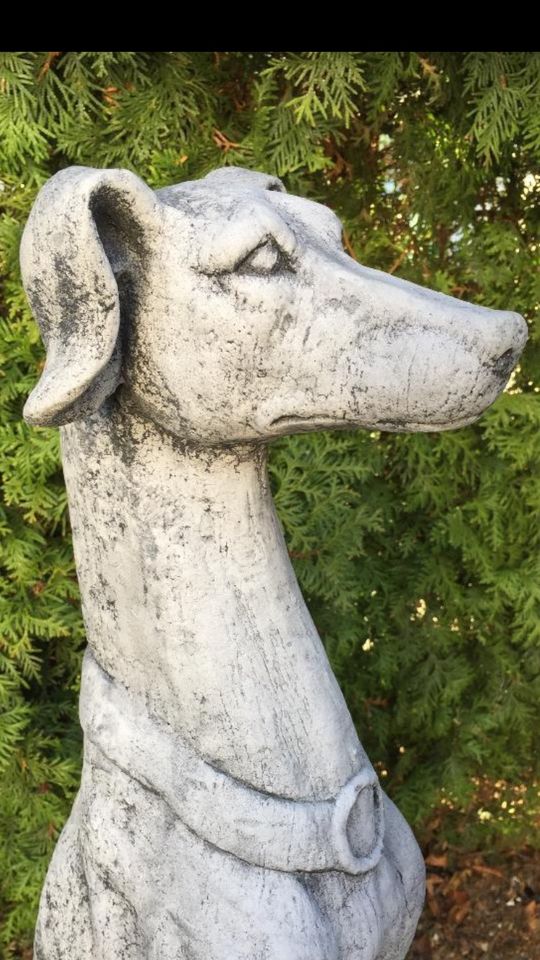 ‼️Windhund 77cm Greyhound Whippet Galgo Barsoi Steinguss Hund‼️ in Schönefeld