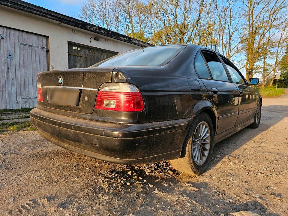 BMW E39 530i Automatik Schlachtfest/ zum Aufbau in Parchim