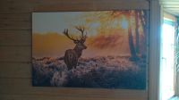 Leinwanddruck Leinwandbild Hirsch 120x80 cm Haushalt Hessen - Rotenburg Vorschau