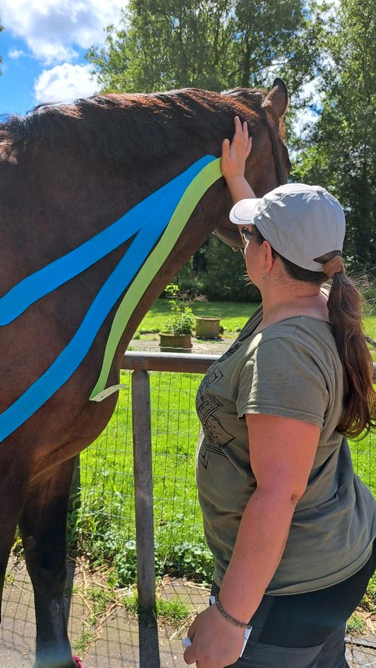 Kinesiotaping für Tiere, Hunde, Pferde... in Kuden