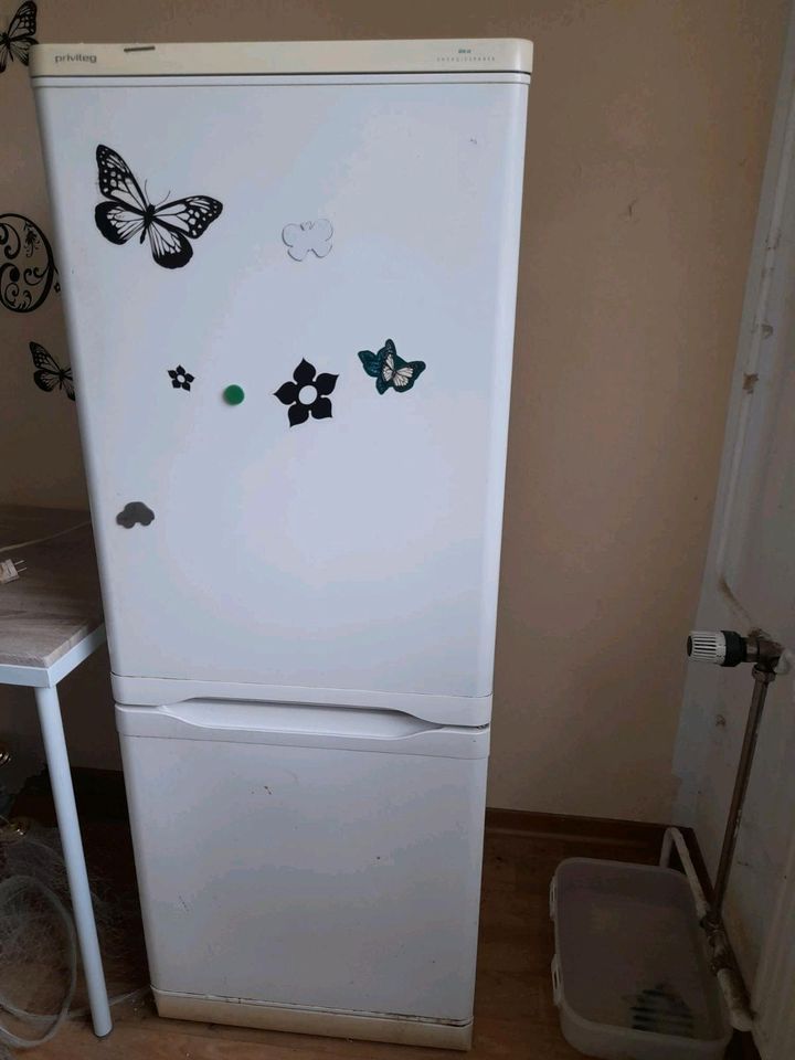 Kühlschrank mit Frost in Großenhain