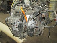 vw golf 4 bora skoda caddy passat  motot 1,9l TDI kompletter ASU Brandenburg - Borkheide Vorschau
