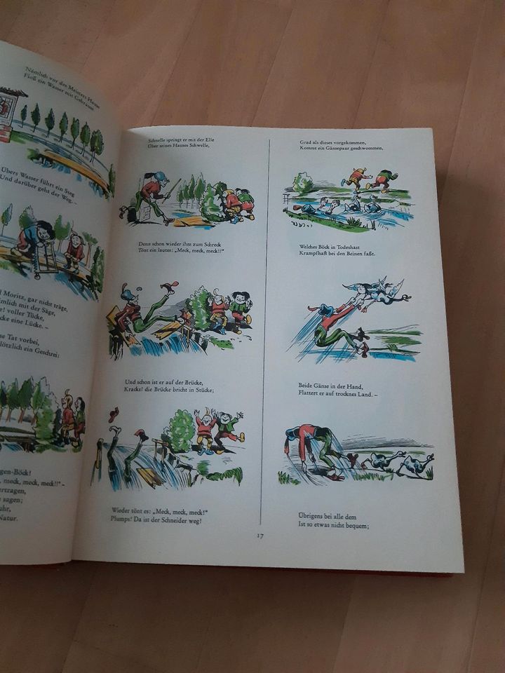 Wilhelm-Busch-Buch in Seesen