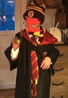 Komplettes HARRY POTTER OUTFIT passend für 128-176 (Gr. S) Bayern - Lindenberg im Allgäu Vorschau