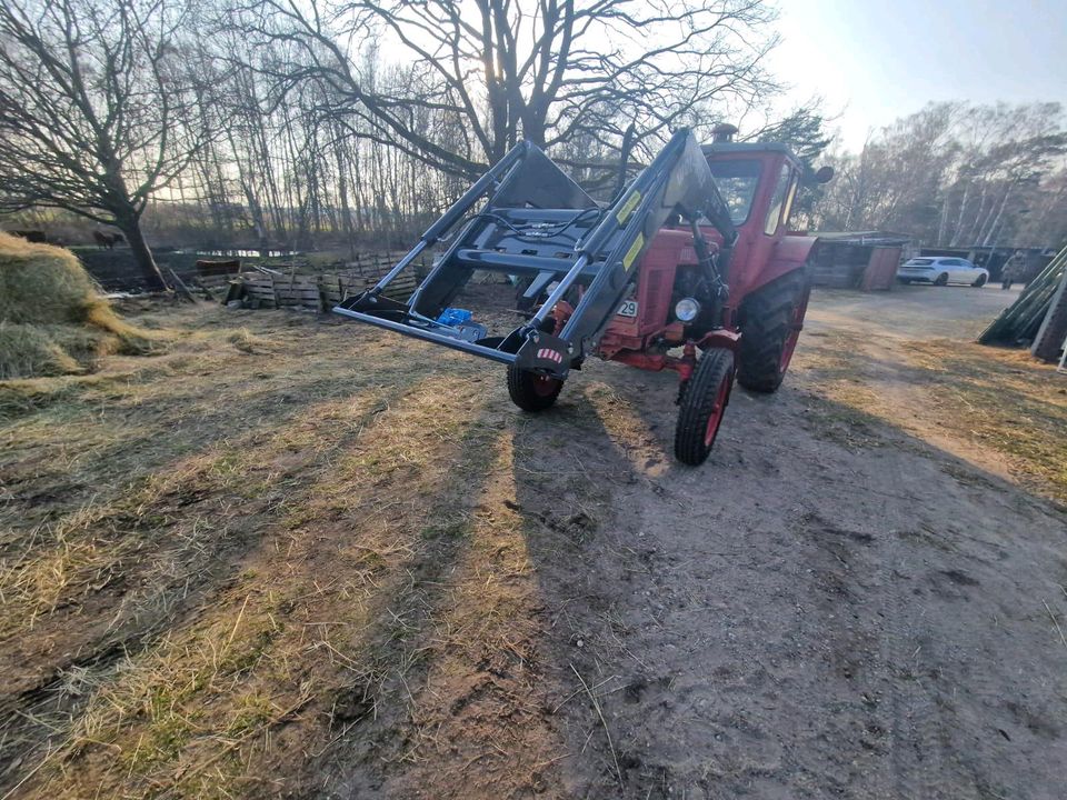 Frontlader 1200kg Euroaufnahme Hohlader MTS Belarus MTZ in Heilbad Heiligenstadt