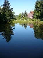 Angelteich Angelsee Teich Karpfen Fischteich Tageskarte Nordrhein-Westfalen - Ascheberg Vorschau