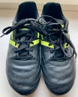 Fußball-/Stollenschuhe Pro Touch neuwertig Bayern - Mellrichstadt Vorschau