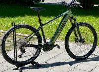 STEVENS E-JUKE Chrome Green E-Bike Mountainbike 20 Zoll 750Wh Bayern - Deisenhausen Vorschau