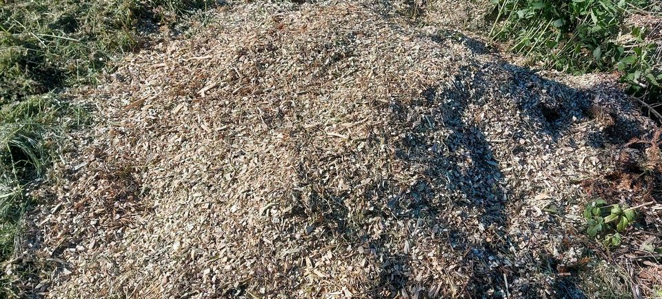 Negri Gartenhäcksler Benzinhäcksler mieten Holzhäcksler Häcksler in Fridolfing