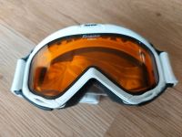 Alpina Firebird Skibrille Bayern - Dietfurt an der Altmühl Vorschau