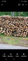 Brennholz zu verkaufen Baden-Württemberg - Deggingen Vorschau