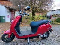 E-Roller / E-Scooter Neowo - 45km/h * Elektro Frosch Bayern - Großheirath Vorschau