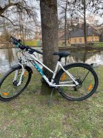 Bulls Fahrrad 28 Zoll Bayern - Schweinfurt Vorschau