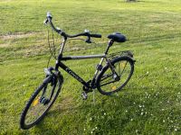 Herrenfahrrad 28 zoll Dithmarschen - Marne Vorschau