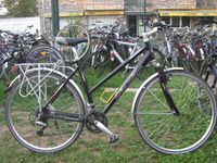 Damen Trekkingrad Carver RH 52cm Bonn - Nordstadt  Vorschau