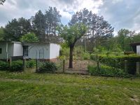Kleingarten in Kleingartenkolonie zu verkaufen Brandenburg - Storkow (Mark) Vorschau