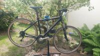 Specialized Damen Crossad / Mountainbike 28" Brandenburg - Falkensee Vorschau