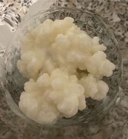 Milchkefir Kefir Baden-Württemberg - Riedlingen Vorschau