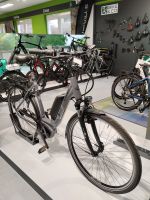 Gudereit E-Bike EC-3 Magura Bosch 500Wh Shimano Nexus 7Gang Bayern - Würzburg Vorschau