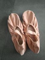 Bloch Ballettschuhe, Ballerina, Ballett Schläppchen rosa Gr 40 Nordrhein-Westfalen - Übach-Palenberg Vorschau