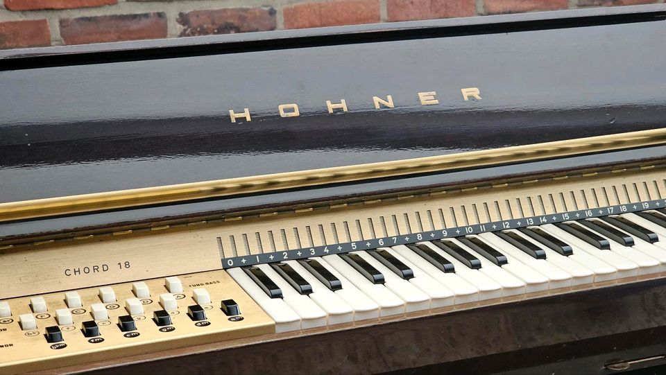 Hohner Harmonium in Heinsberg