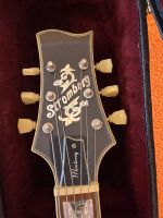E-Gitarre Stromberg Monterey Hessen - Eltville Vorschau