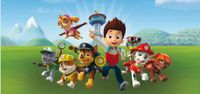 Paw Patrol Keilrahmenbild ca. 70x33 cm Nürnberg (Mittelfr) - Nordstadt Vorschau